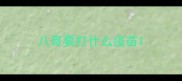 八哥要打什么疫苗