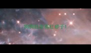 狗狗肚皮有红疹子