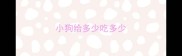 小狗给多少吃多少