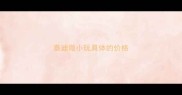泰迪微小玩具体的价格