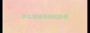 怎么除掉狗狗的跳蚤
