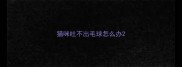 猫咪吐不出毛球怎么办