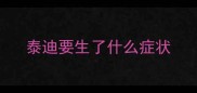 泰迪要生了什么症状