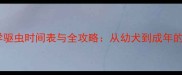 边境牧羊犬科学驱虫时间表与全攻略从幼犬到成年的健康管理指南
