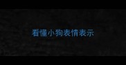 看懂小狗表情表示
