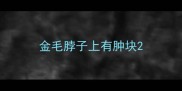金毛脖子上有肿块