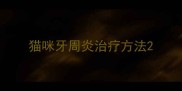 猫咪牙周炎治疗方法