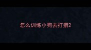 怎么训练小狗去打猎