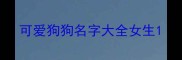 可爱狗狗名字大全女生