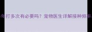 狂犬疫苗半年打多次有必要吗宠物医生详解接种频率与注意事项
