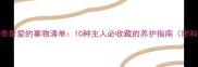 哈士奇最爱的事物清单10种主人必收藏的养护指南附科学