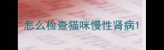 怎么检查猫咪慢性肾病