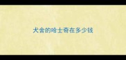 犬舍的哈士奇在多少钱