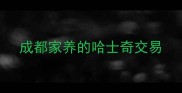 成都家养的哈士奇交易