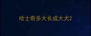 哈士奇多大长成大犬