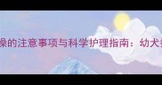 满月小狗洗澡的注意事项与科学护理指南幼犬护理全攻略