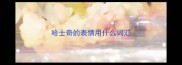 哈士奇的表情用什么词汇