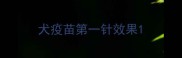 犬疫苗第一针效果