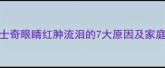 警惕哈士奇眼睛红肿流泪的7大原因及家庭护理指南