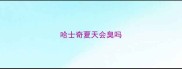 哈士奇夏天会臭吗