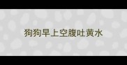 狗狗早上空腹吐黄水