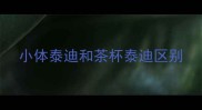 小体泰迪和茶杯泰迪区别