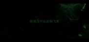 泰迪为什么会有飞耳