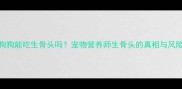狗狗能吃生骨头吗宠物营养师生骨头的真相与风险