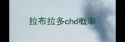 拉布拉多chd概率