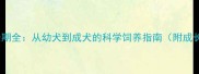 哈士奇生长期全从幼犬到成犬的科学饲养指南附成长时间表