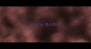 两个月小猫总喝水