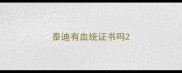 泰迪有血统证书吗