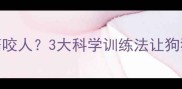 金毛犬7个月频繁咬人3大科学训练法让狗狗学会温柔社交