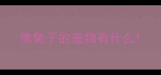 像兔子的宠物有什么