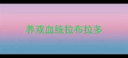养双血统拉布拉多
