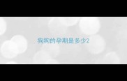 狗狗的孕期是多少