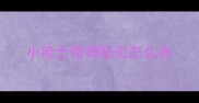 小哈士奇得肠炎怎么办