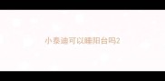 小泰迪可以睡阳台吗