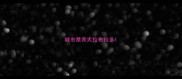 城市禁养犬拉布拉多