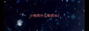 小狗用什么眼药水