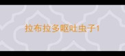 拉布拉多呕吐虫子