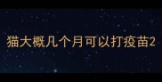 猫大概几个月可以打疫苗