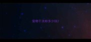宠物干洗粉多少钱
