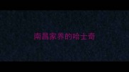 南昌家养的哈士奇