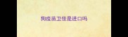 狗疫苗卫佳是进口吗
