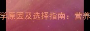 狗狗吃狗粮的5大科学原因及选择指南营养师宠物主必知真相
