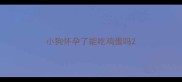 小狗怀孕了能吃鸡蛋吗