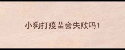 小狗打疫苗会失败吗