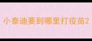 小泰迪要到哪里打疫苗