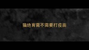猫绝育需不需要打疫苗